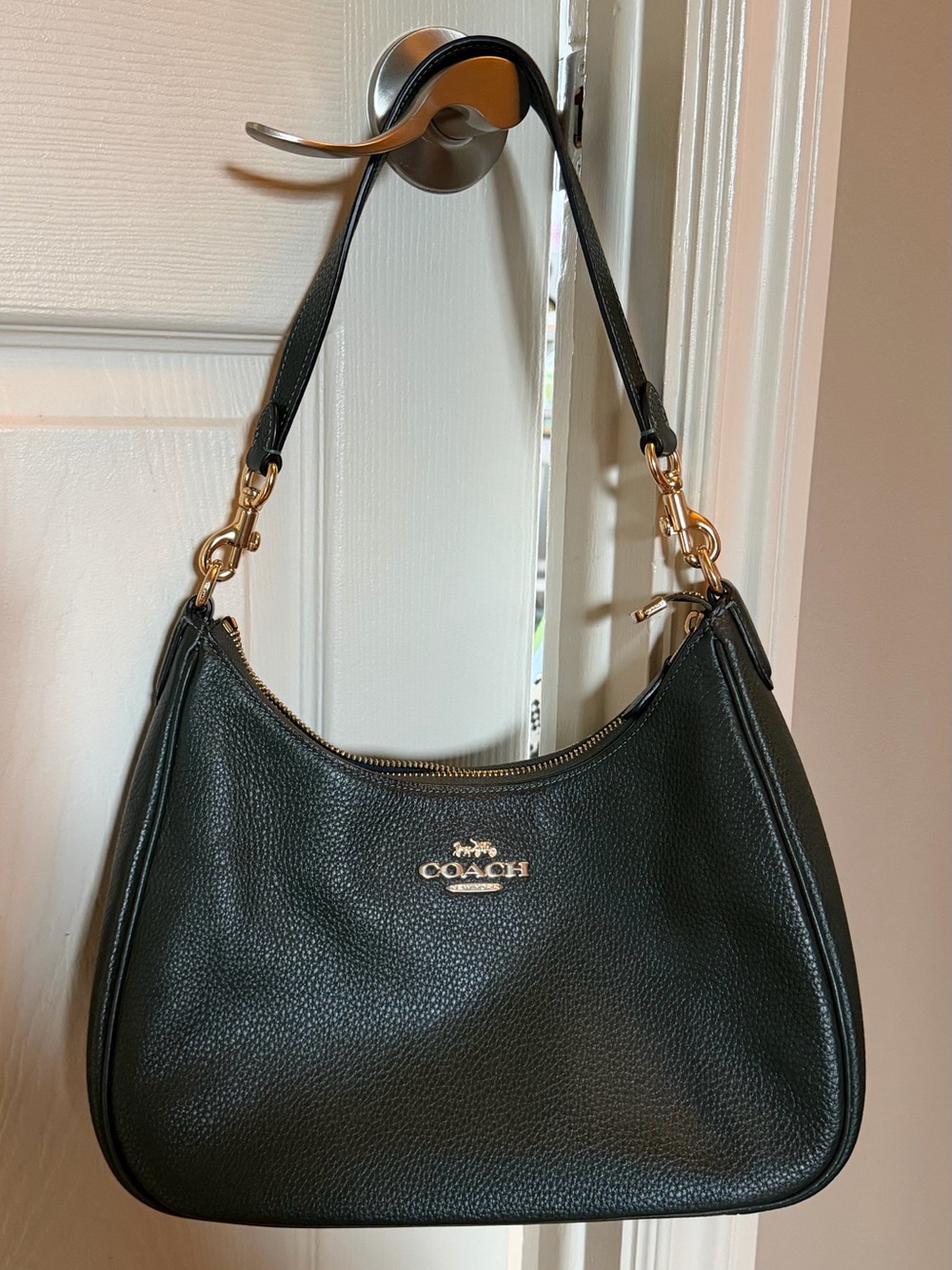 COACH Pebbled Leather TERI HOBO AMAZON GREEN